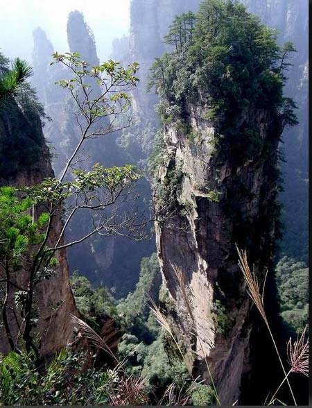 長沙出發(fā)到張家界溶洞奇觀黃龍洞、國家森林公園、袁家界、峰林之王天子山三日游（早班）