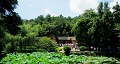 長(zhǎng)沙出發(fā)到花明樓、韶山、張家界國(guó)家森林公園、天門(mén)仙山國(guó)家森林公園四日游