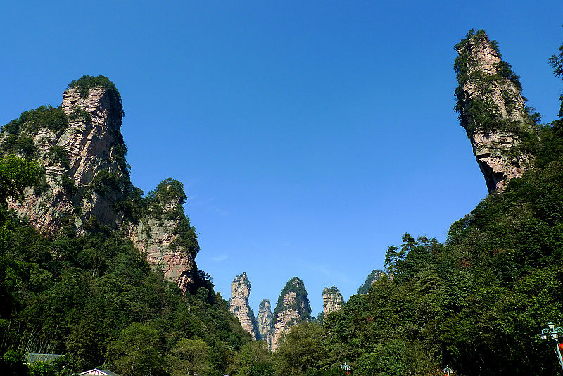 張家界國(guó)家森林公園、黃龍洞、天門山、鳳凰古城純玩五日游